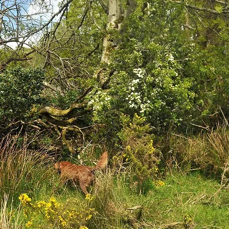 Mellottes Self Catering